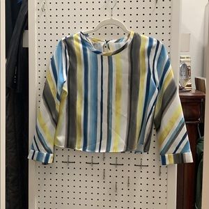 Zara Crop Long Sleeve Blouse